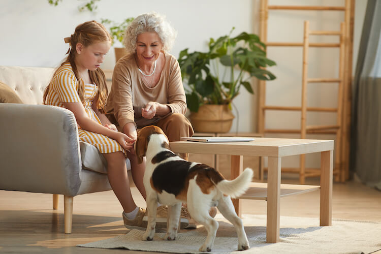 A senior woman and her granddaughter spend time with her dog.