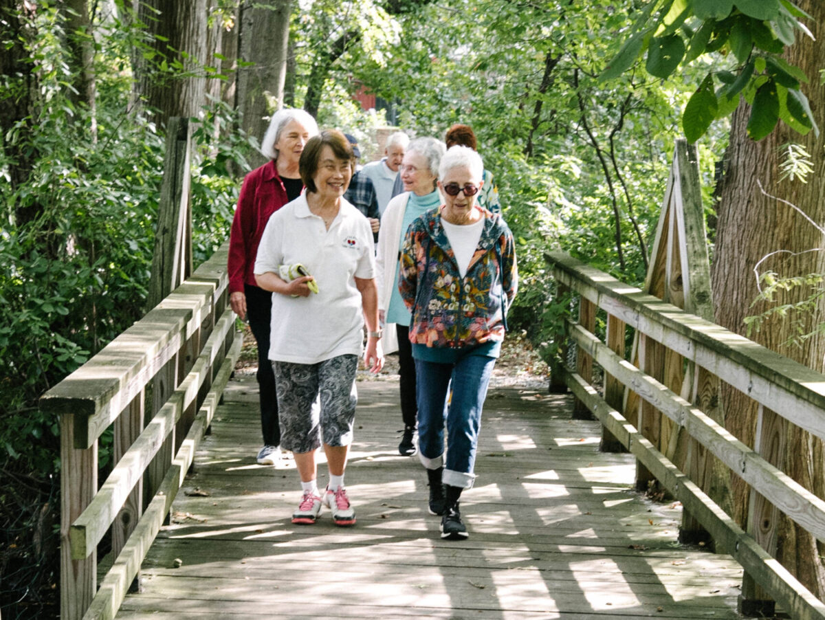 Group of seniors walking outdoors in nature, engaging in conversation