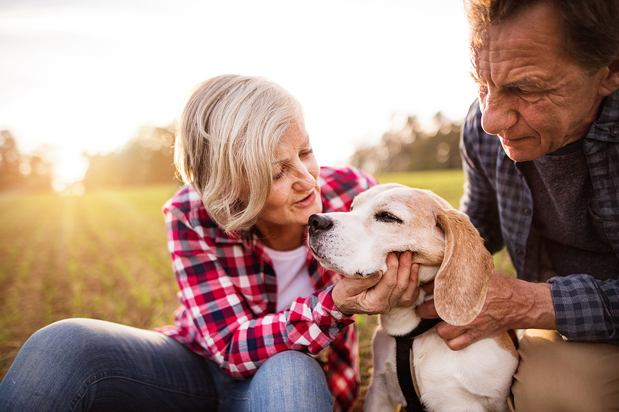 A senior couple enjoys time with their dog