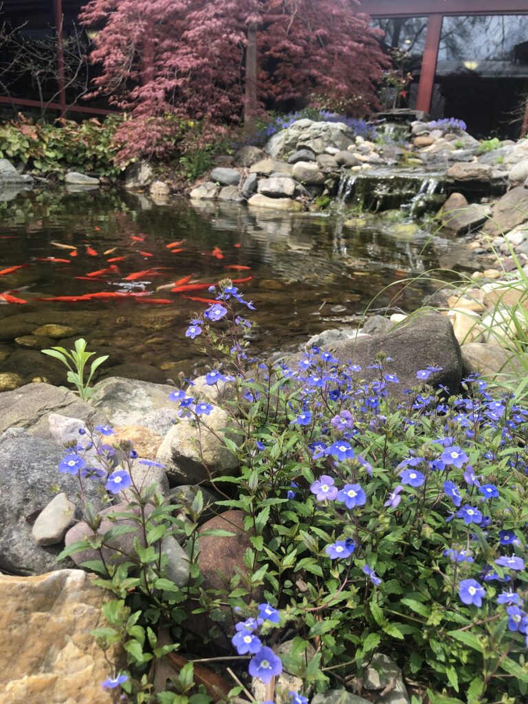 2eeed9dd-img_8330-768x1024