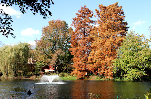 Pond at Meadow Lakes