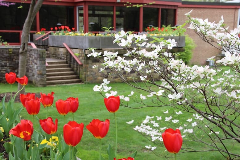 c112307a-img_2978-min