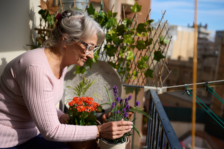 A senior woman holds lavender and flowers on her balcony